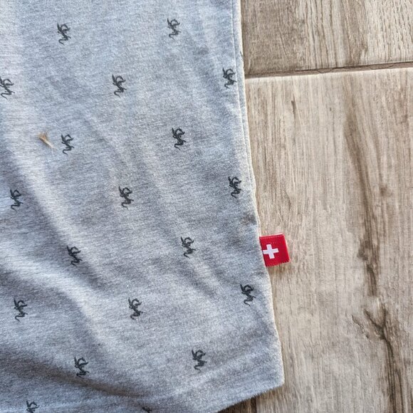 Pilatus Luzern Youth's Gray Graphic T-Shirt Size M Swiss Flag Dragon Print - Picture 3 of 8